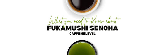 Fukamushi Sencha Caffeina_ Cosa devi sapere
