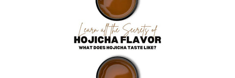 Hojicha Sapore impara cosa fa Hojicha sapore come