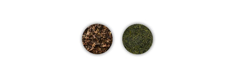 oolong contro Sencha