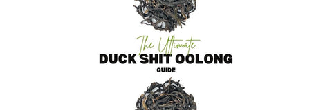 La Guida Definitiva All'oolong Di Cacca D'anatra