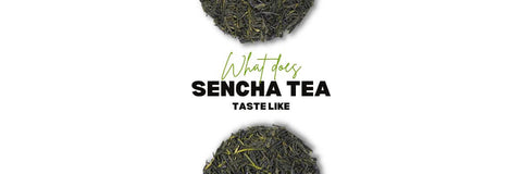 Cosa Fa Sencha Sapore Di Tè Come