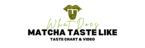 What does matcha taste like? Taste Chart with Video