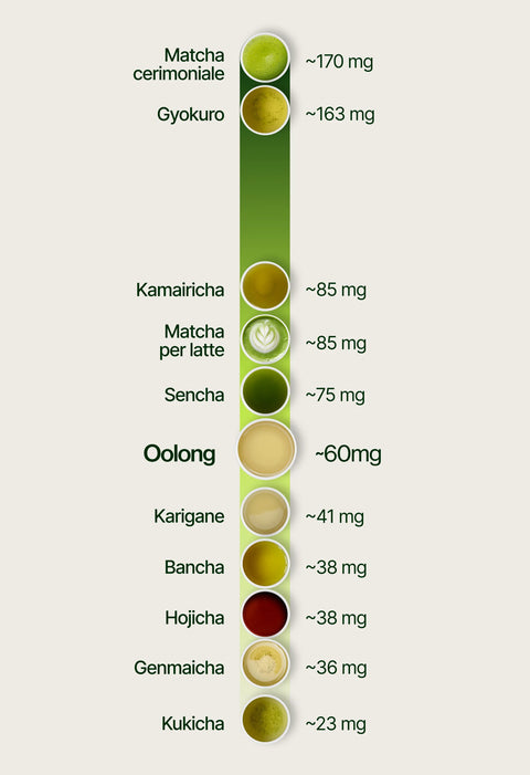 6ad760d233339_caffeine_chart_oolong_it.webp