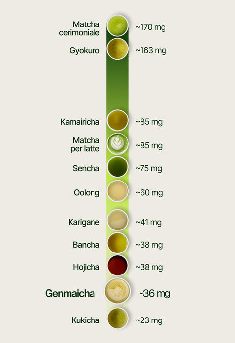 6ad760d31087e_caffeine_chart_genmaicha_it.webp