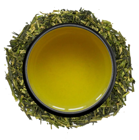 A cup of light golden bancha seen from above, ringed by large bancha leaves on a white background