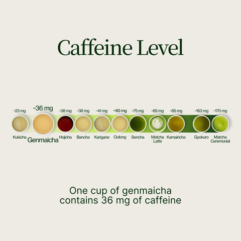 Tè verde Genmaicha Popcorn