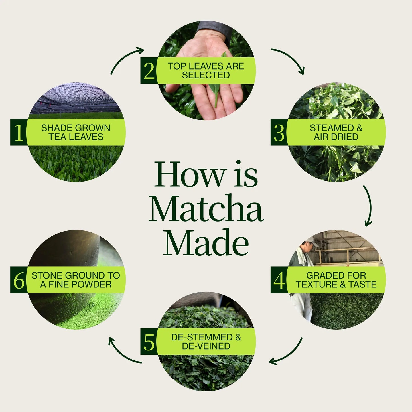 Matcha Latte Premium