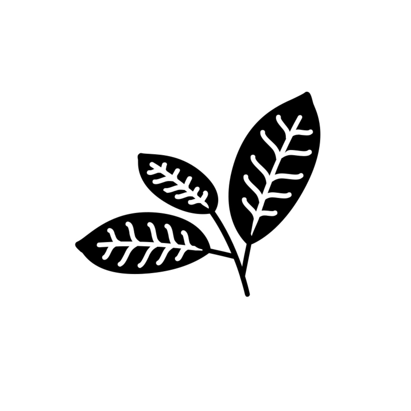 icona delle foglie di tè