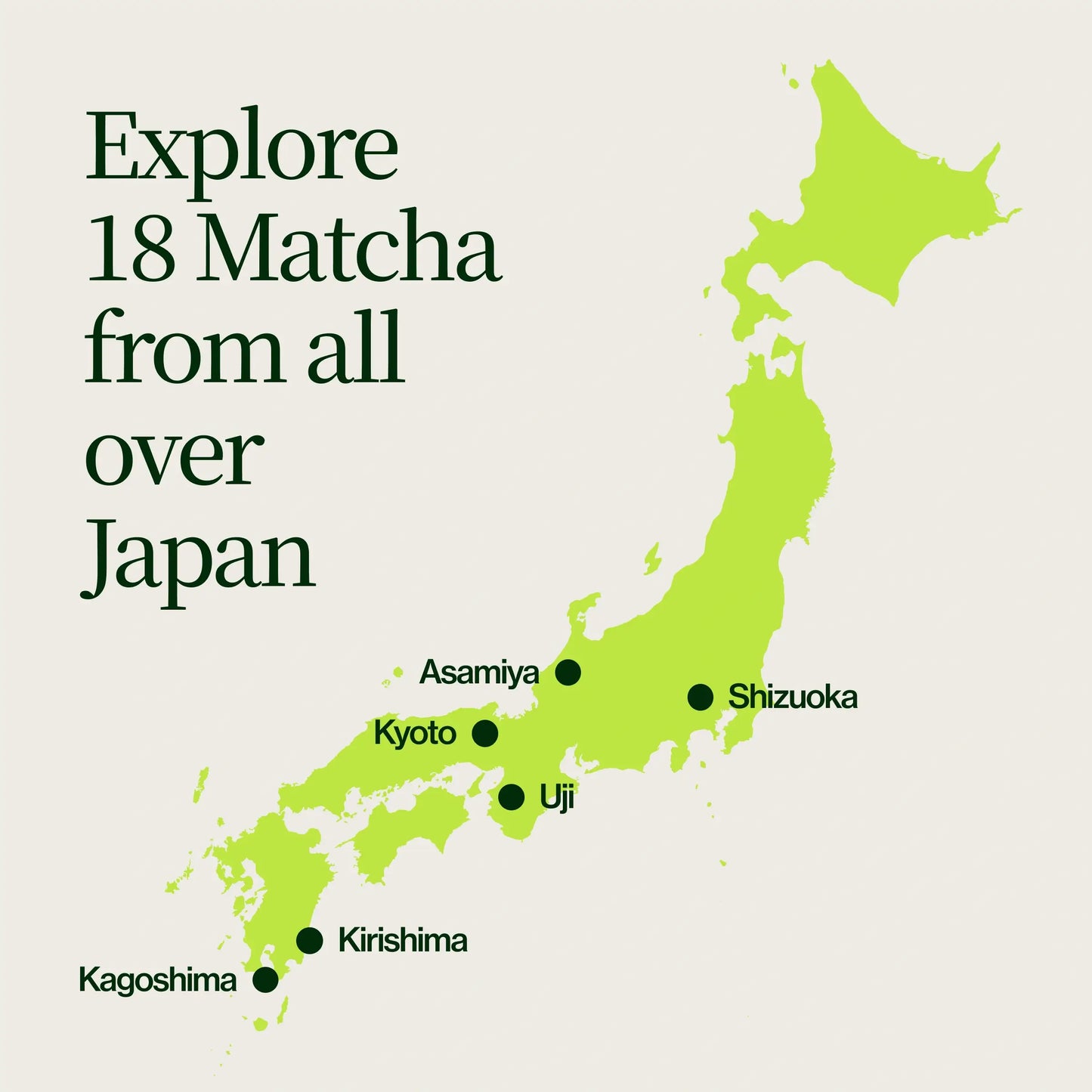 Confezione da 18 campioni di Matcha