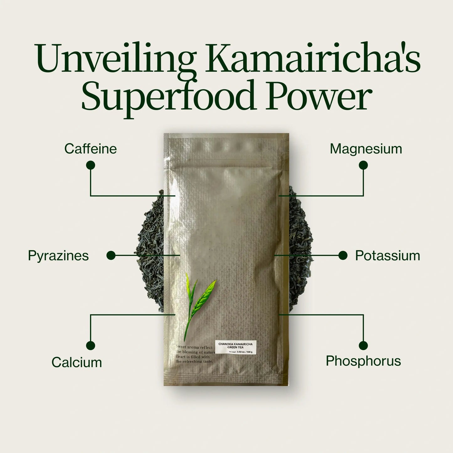 Chanoka Kamairicha Tè Verde Sfuso