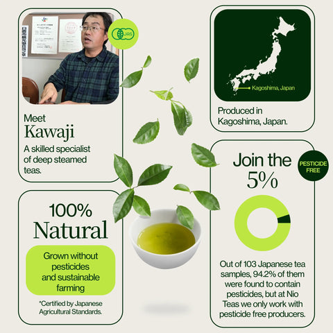 Sencha dorato Yabukita Kasugaen