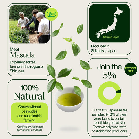 Tè verde Genmaicha Popcorn