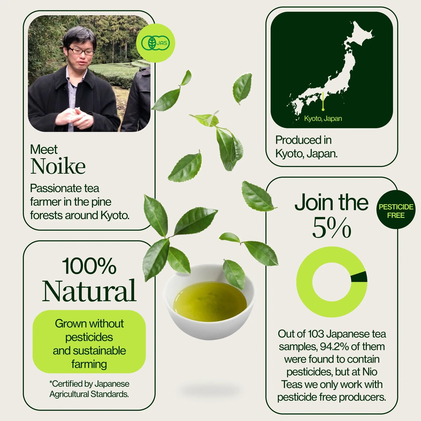 Tè Hojicha Tostato Noike