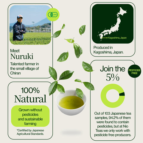 Tè verde Matcha premium Chiran di alta qualità