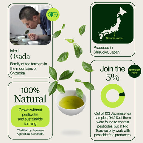 Tè Matcha giapponese Osada Okumidori