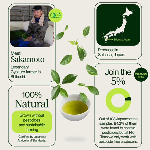 Matcha Zen Sakamoto
