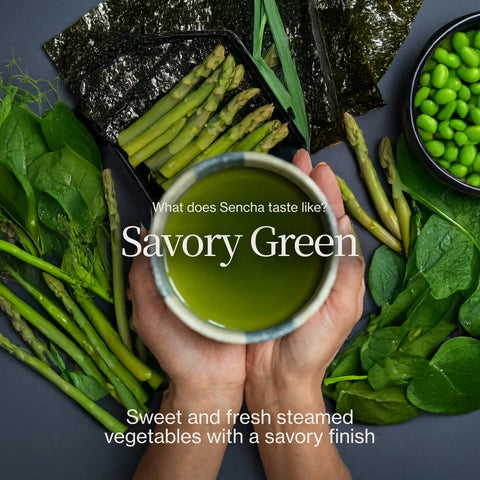 Henta Sencha Saemidori
