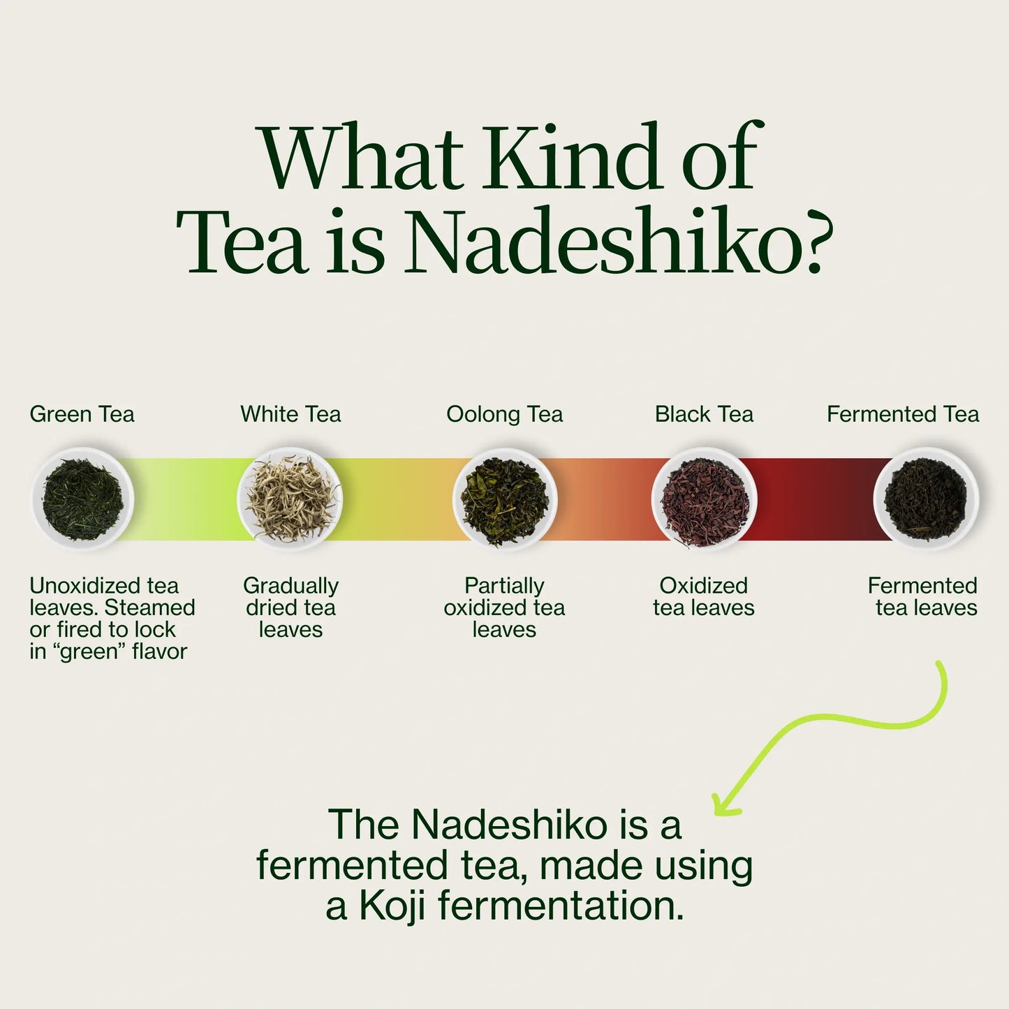 Tè Fermentato Giapponese Rose Nadeshiko
