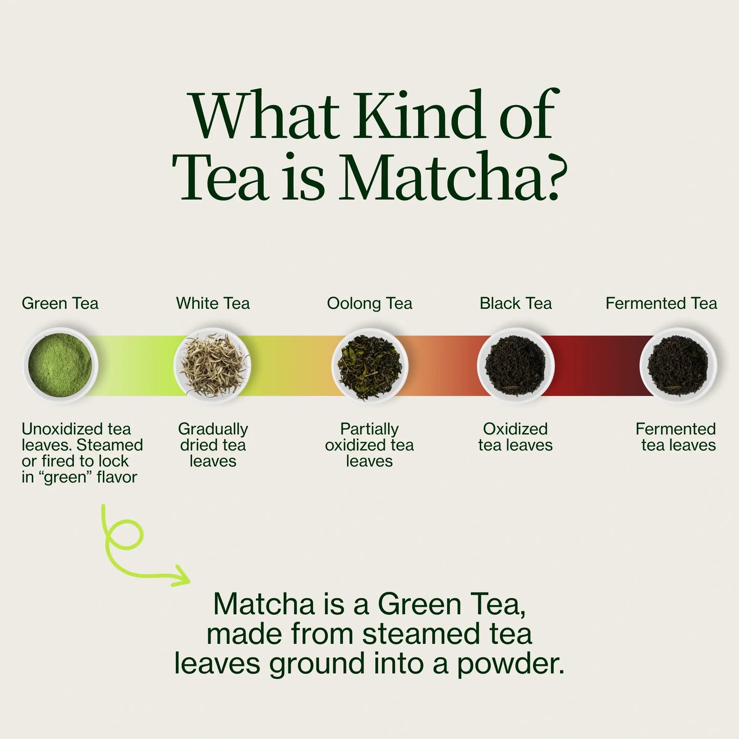 Matcha Latte Premium
