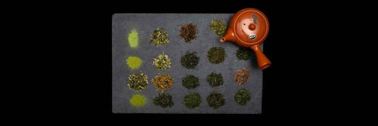 Best tea for beginners Selected by Experts