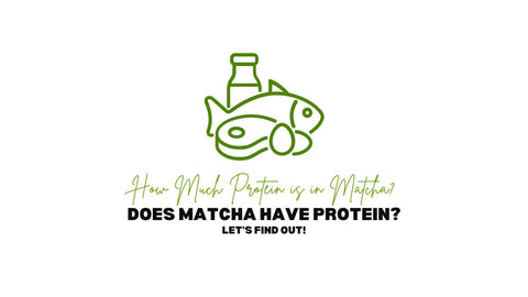 Il Matcha contiene proteine? Quante proteine ci sono nel Matcha?