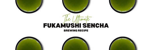 Fukamushi Sencha Brewing Recipe