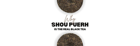 puoi farlo