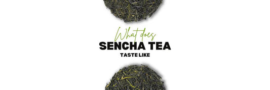 What Does Sencha Tea Taste Like