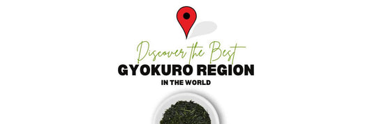 best gyokuro region