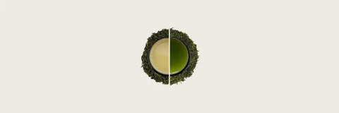 Green Tea vs Oolong Tea : What Makes them Different