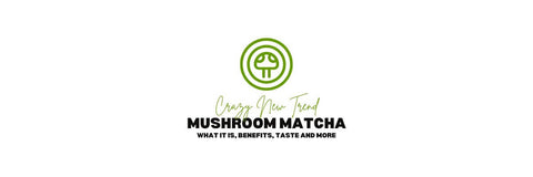 banner del blog sul matcha ai funghi con scritta "pazza nuova tendenza matcha ai funghi, cos'è, benefici, gusto e altro ancora"