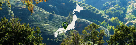 Uji Gyokuro Tea: A Region Steeped in Legends