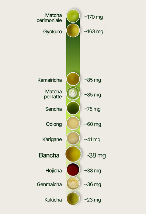 6ad760ce9ce72_caffeine_chart_bancha_it.webp