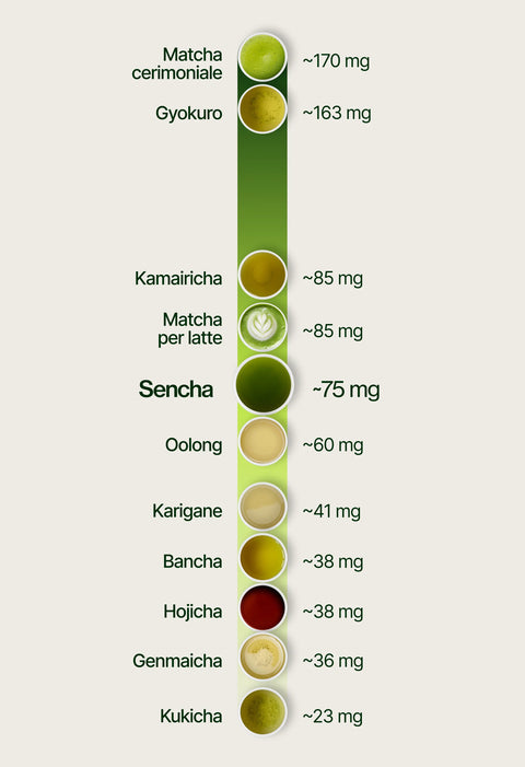 6ad760d3386dd_caffeine_chart_sencha_it.webp