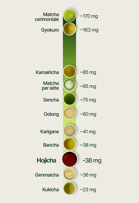 6ad760cf470d6_caffeine_chart_hojicha_it.webp