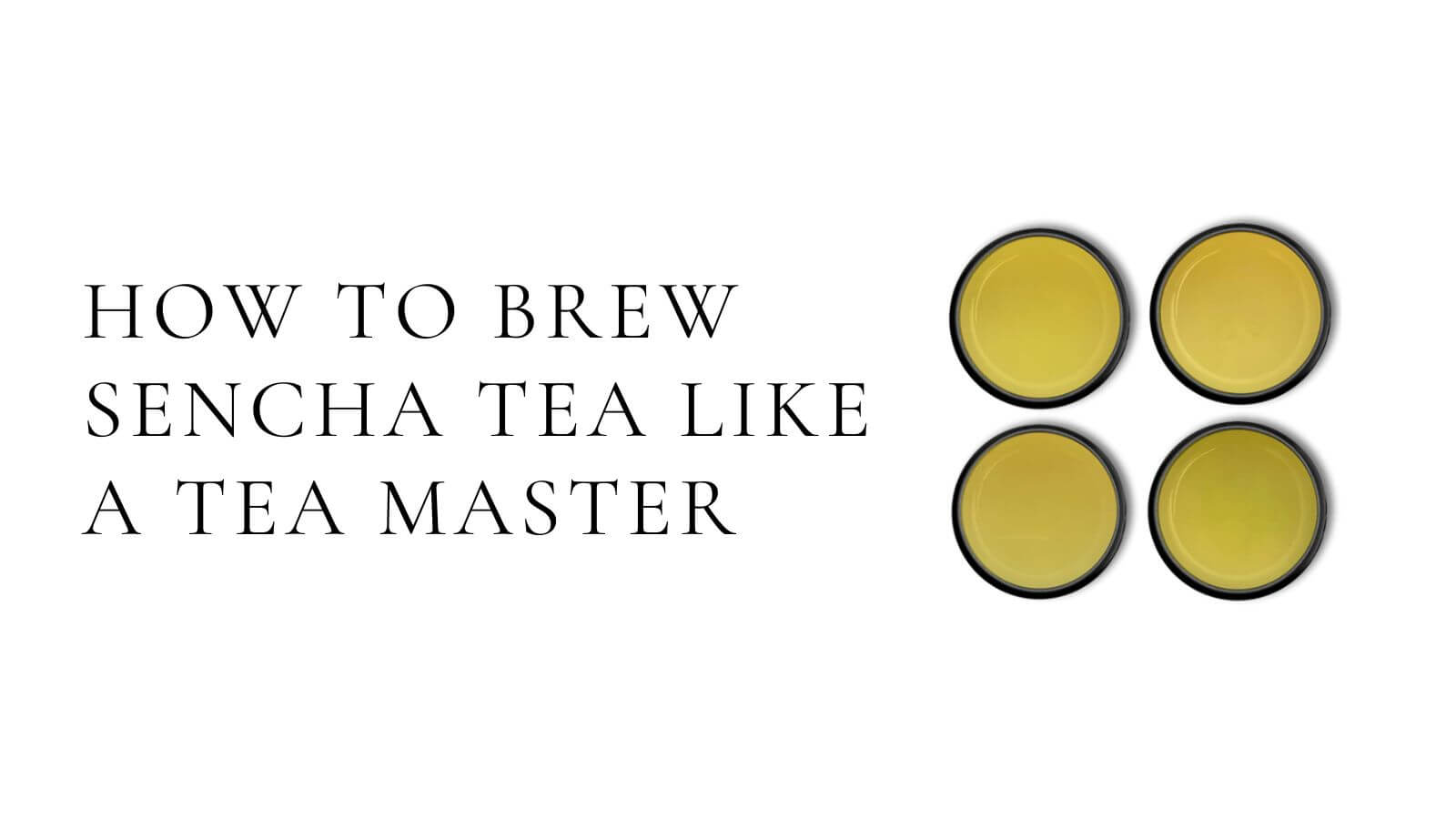 Carica il video: How to brew sencha tea like a tea master