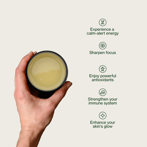 Sencha dorato Yabukita Kasugaen