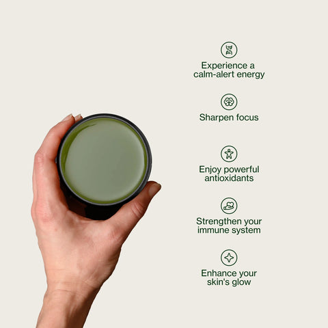 Sencha Shizuku con Polvere di matcha