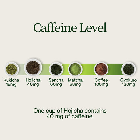 Polvere di hojicha