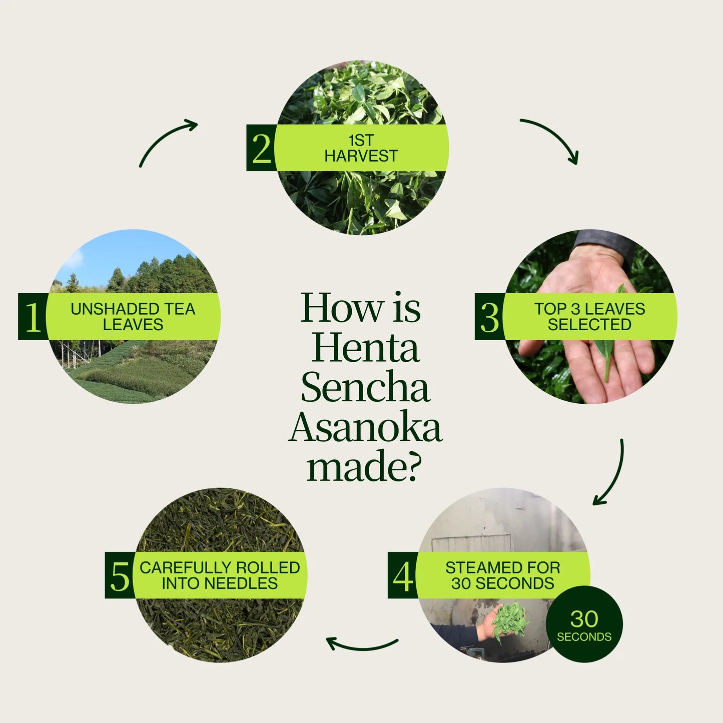 Sencha Asanoka Henta