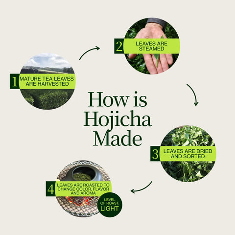 Polvere di hojicha