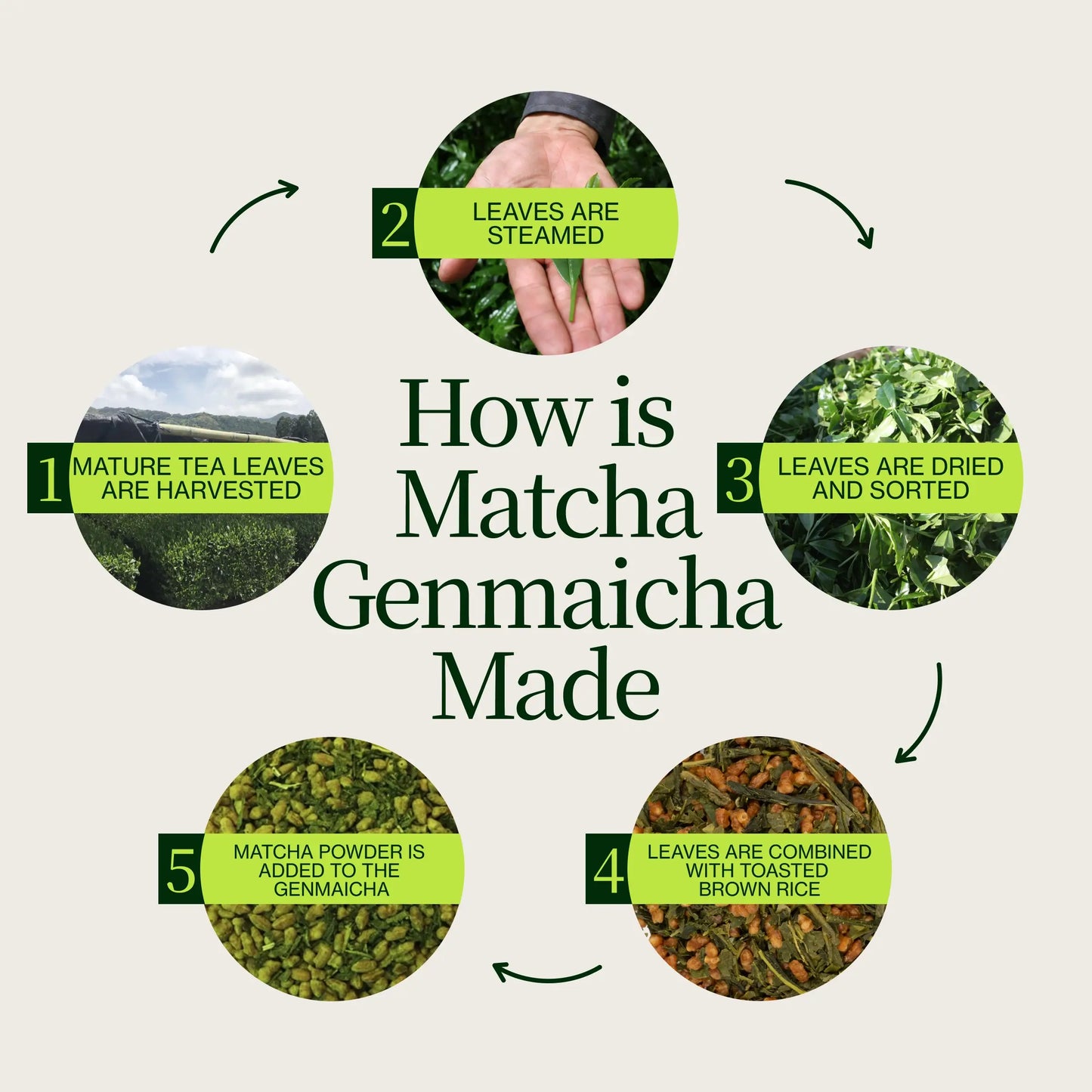 Matcha Genmaicha