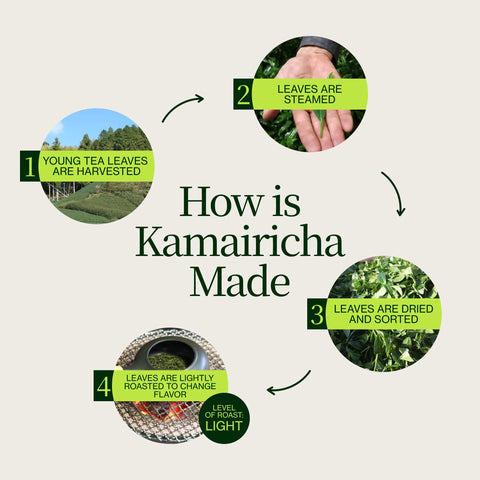 Kamairicha di cottura in padella Miyazaki Sabou