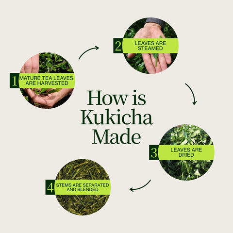 Tè verde Chanoka Kukicha