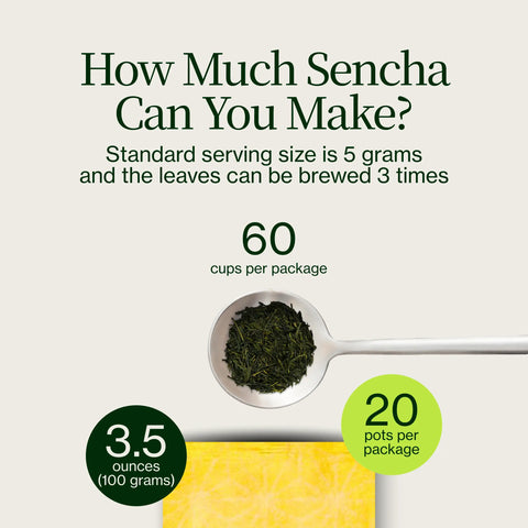 Sencha dorato Yabukita Kasugaen