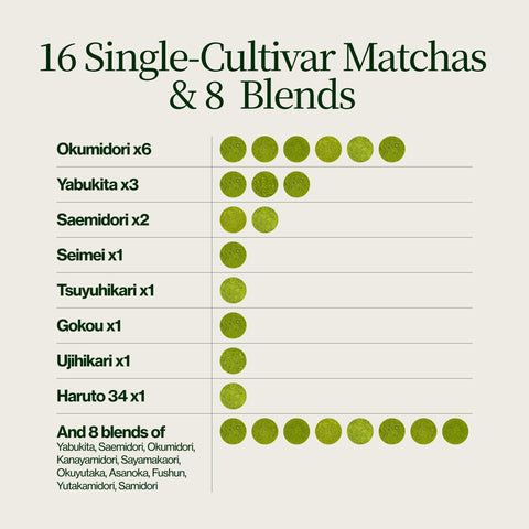 Matcha advent calendar 2026: 16 single-cultivar matchas and 8 blends