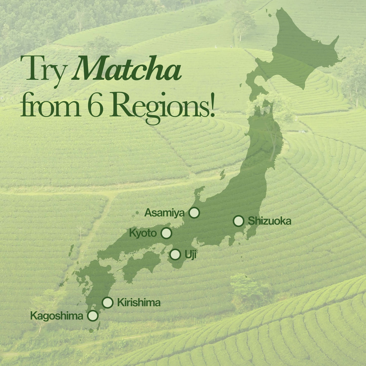 matcha advent calendar map