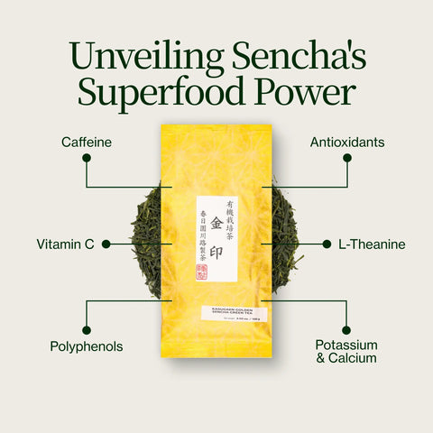 Sencha dorato Yabukita Kasugaen