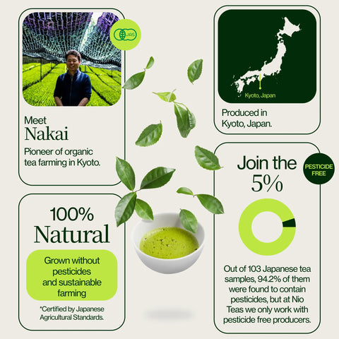 Tè Matcha cerimoniale Washimine