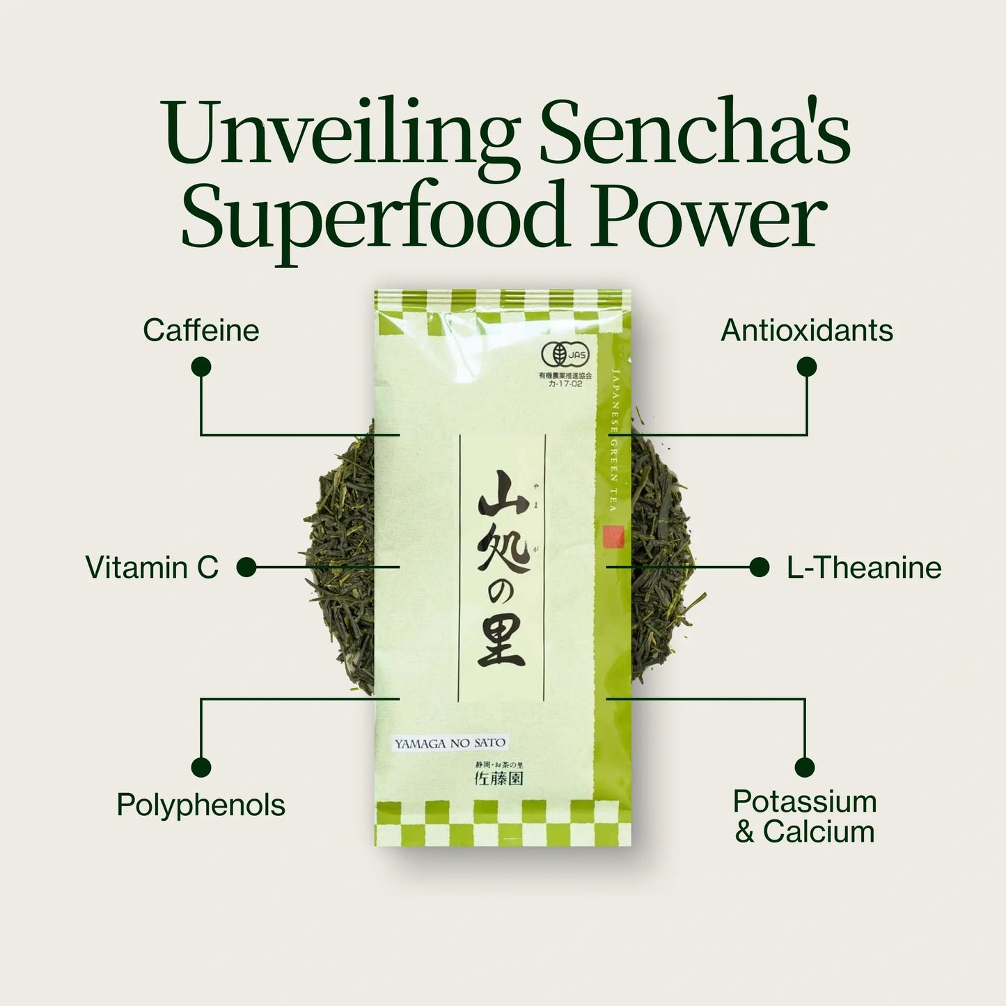 Tè Verde Sencha Yamaga No Sato